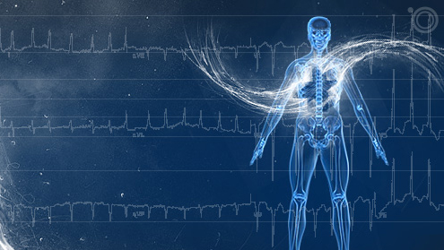 HeartMonitoring HeartMonitoring