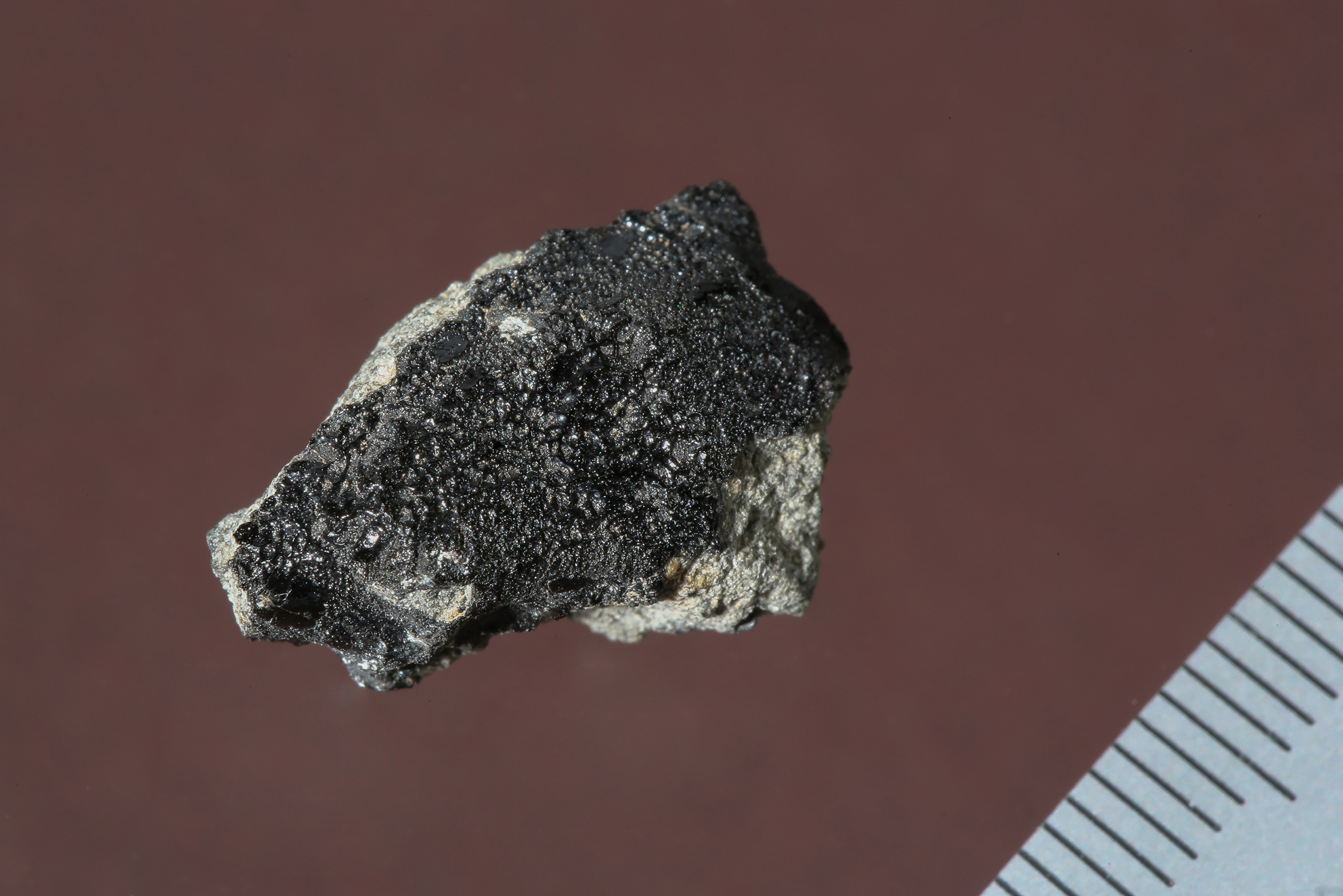 Tissint martian  meteorite