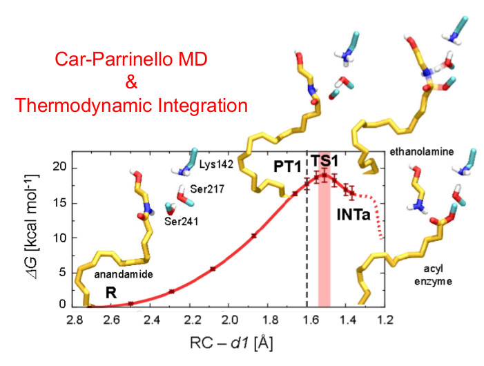 Free energy profile of FAAH acylation during anandamide hydrolysis, obtained via QM/MM Car-Parrinello MD and Thermodynamic Integration